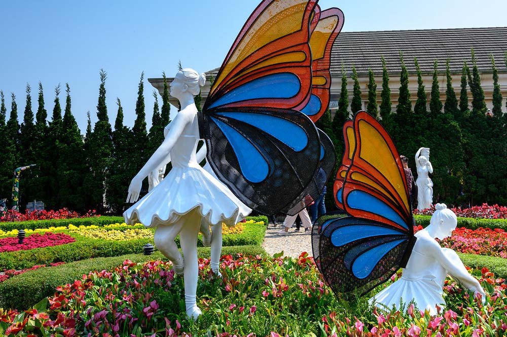 Butterfly Garden Tour