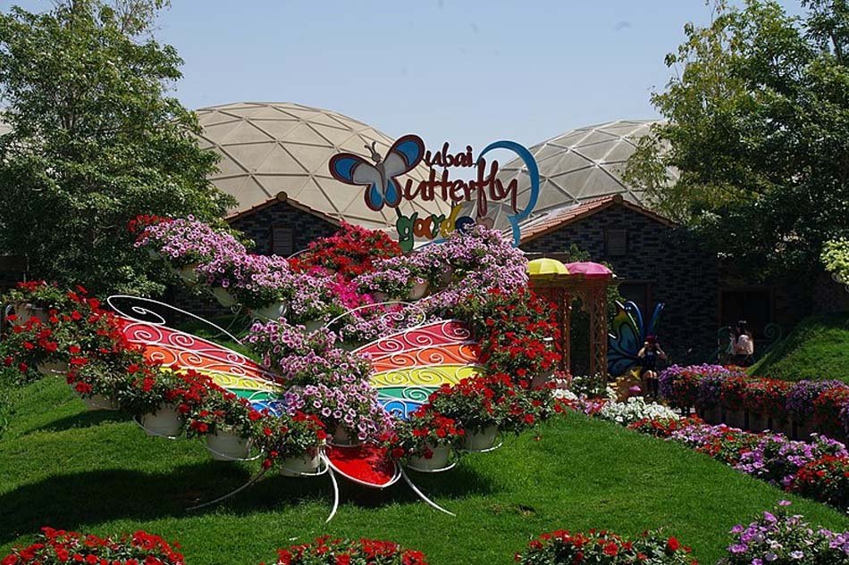Butterfly Garden in Dubai