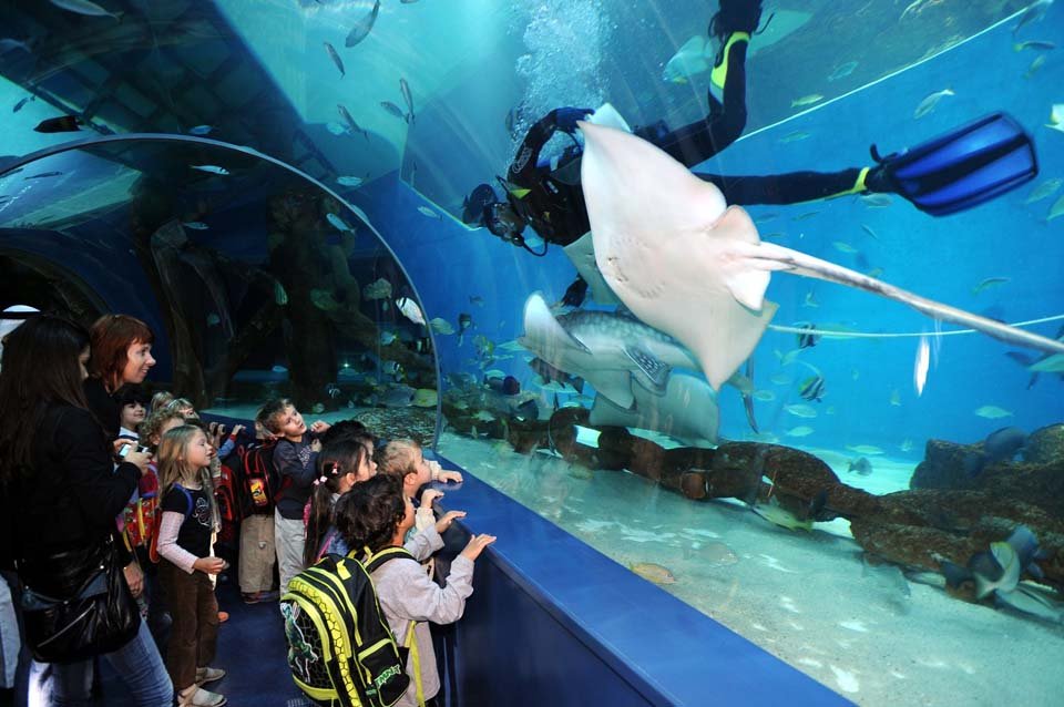 Sharjah Aquarium
