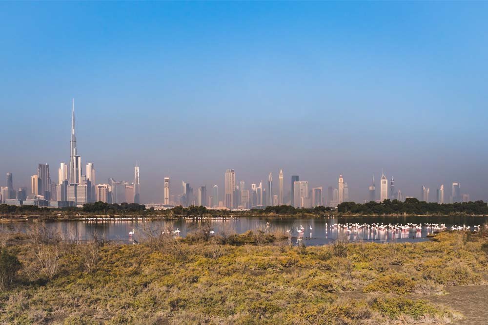 Ras Al Khor Wildlife Sanctuary